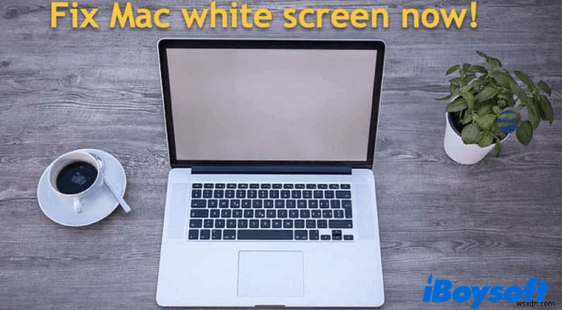 วิธีแก้ไข Mac White Screen เมื่อเริ่มต้นระบบ