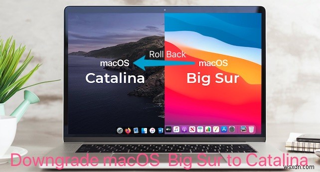 วิธีการดาวน์เกรด Mac OS:Big Sur เป็น Catalina หรือ Monterey เป็น Big Sur