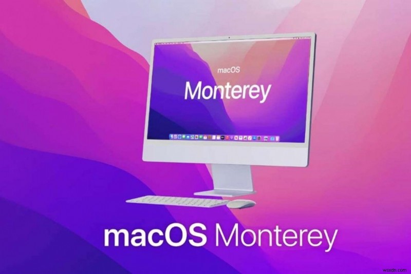 ไม่สามารถติดตั้ง MacOS Monterey บน Mac ได้ใช่หรือไม่ ลองใช้วิธีแก้ปัญหาเหล่านี้