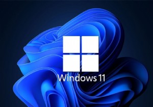 วิธีแก้ไขแอป Android ที่ไม่ทำงานบน Windows 11