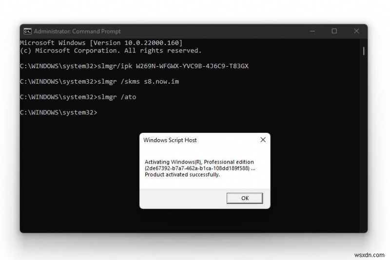 [แก้ไข] ข้อผิดพลาดในการเปิดใช้งาน 0xc004c060 ใน Windows 11