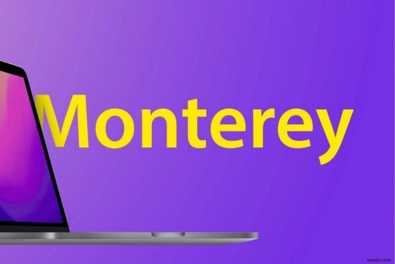 ไม่พบบัญชีผู้ดูแลระบบใน MacOS Monterey? ลองใช้วิธีแก้ไขเหล่านี้