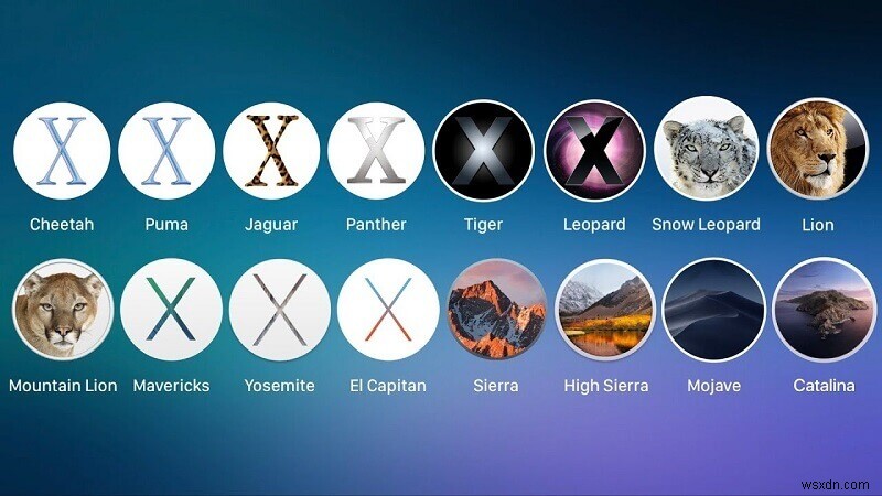 รายการที่ครอบคลุมสำหรับเวอร์ชัน Mac OS X และ macOS 