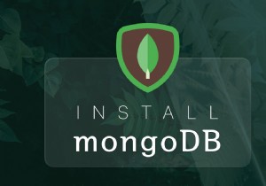 วิธีการติดตั้ง MongoDB บน ​​Mac อย่างง่ายดายและรวดเร็ว 