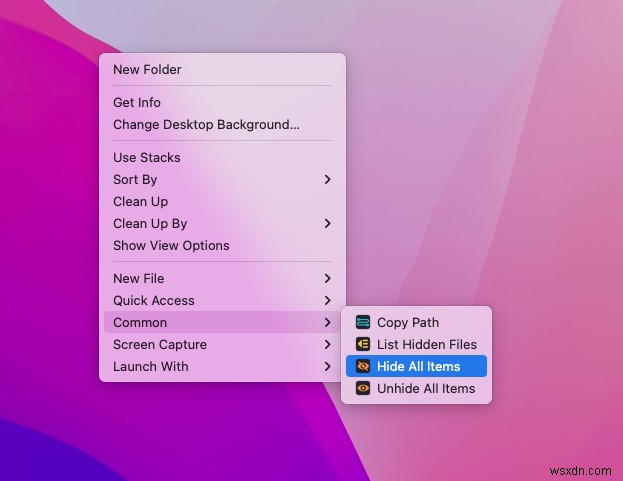 (คู่มือฉบับเต็ม) วิธีซ่อนไอคอนบน Mac Desktop