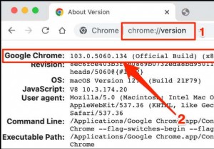 ฉันมี Google Chrome เวอร์ชันใด