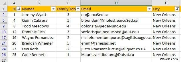 วิธีการกรองข้อมูลใน Excel