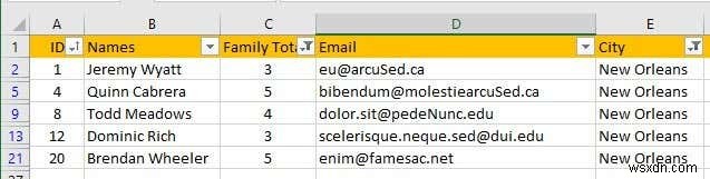 วิธีการกรองข้อมูลใน Excel