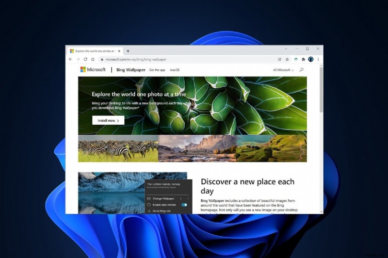 วิธีการดาวน์โหลดและติดตั้ง Bing Wallpaper สำหรับ Windows 11