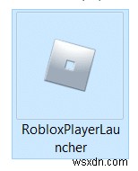 แก้ไข Roblox จะไม่ติดตั้งใน Windows 10