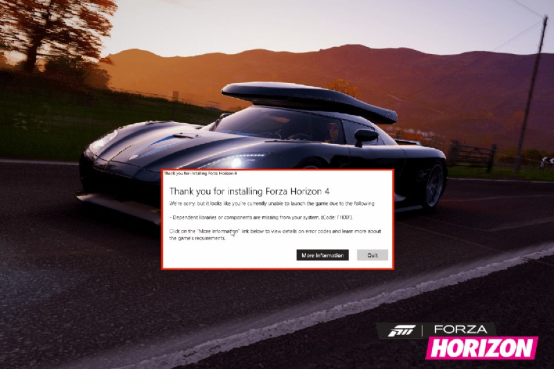 แก้ไข Forza Horizon 4 FH001 ใน Windows 10 