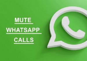 วิธีปิดเสียงการโทร Whatsapp บน Android