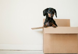 ภาพรวมของ Android Storage 