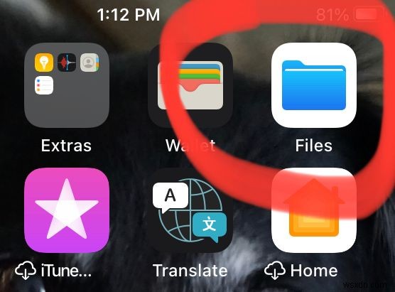 โฟลเดอร์ดาวน์โหลด iPhone – ไฟล์ดาวน์โหลดของฉันอยู่ที่ไหน iOS และ iPad 