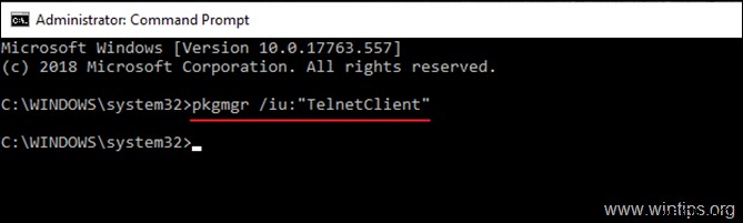 วิธีเปิดใช้งาน Telnet Client ใน Windows 10