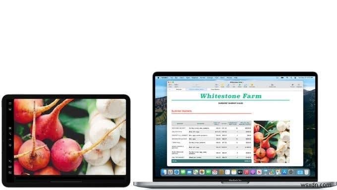 M1 MacBook กับ iPad Pro:ทางเลือกที่ยากยิ่งกว่าที่เคย
