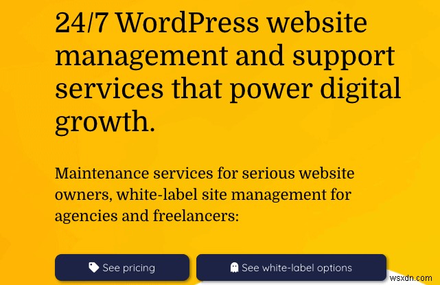 12 บริการบำรุงรักษา WordPress ที่ดีที่สุดให้เลือก (อัปเดต)