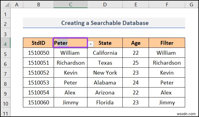 วิธีการสร้างฐานข้อมูลใน Excel (ด้วยขั้นตอนง่ายๆ)