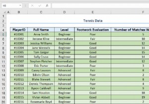วิธีทำให้ตาราง Excel ดูดี (8 เคล็ดลับที่มีประสิทธิภาพ)