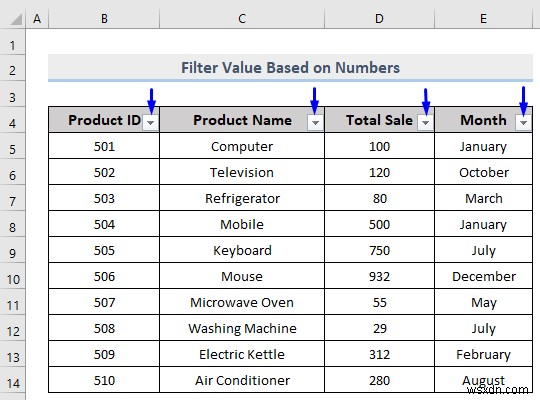 วิธีการกรองแบบกำหนดเองใน Excel (5 วิธี)