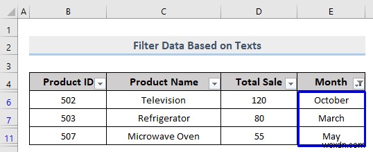 วิธีการกรองแบบกำหนดเองใน Excel (5 วิธี)