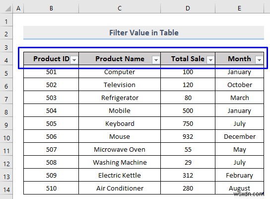 วิธีการกรองแบบกำหนดเองใน Excel (5 วิธี)