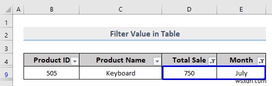 วิธีการกรองแบบกำหนดเองใน Excel (5 วิธี)