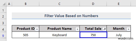 วิธีการกรองแบบกำหนดเองใน Excel (5 วิธี)