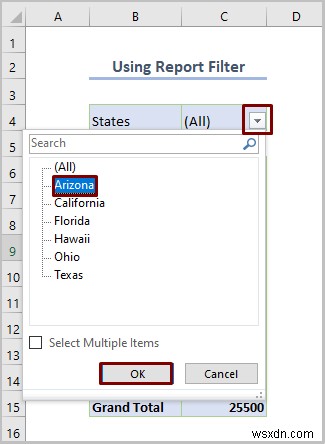 วิธีการกรอง Excel Pivot Table (8 วิธีที่มีประสิทธิภาพ)