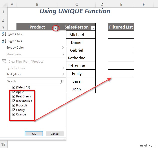 วิธีการคัดลอกรายการดรอปดาวน์ตัวกรองใน Excel (5 วิธี)