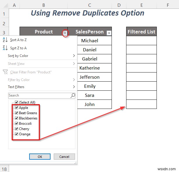 วิธีการคัดลอกรายการดรอปดาวน์ตัวกรองใน Excel (5 วิธี)