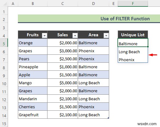 รายการตรวจสอบความถูกต้องของข้อมูล Excel พร้อมตัวกรอง (2 ตัวอย่าง)