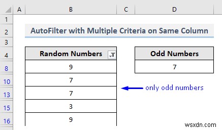 VBA เพื่อกรองอัตโนมัติพร้อมหลายเกณฑ์ในฟิลด์เดียวกันใน Excel (4 วิธี)