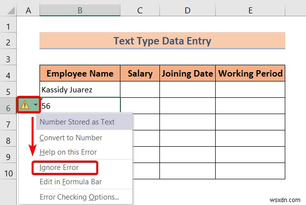 ประเภทของการป้อนข้อมูลใน Excel (ภาพรวมอย่างรวดเร็ว)