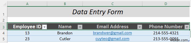 วิธีการกรอกแบบฟอร์มใน Excel (5 ตัวอย่างที่เหมาะสม)