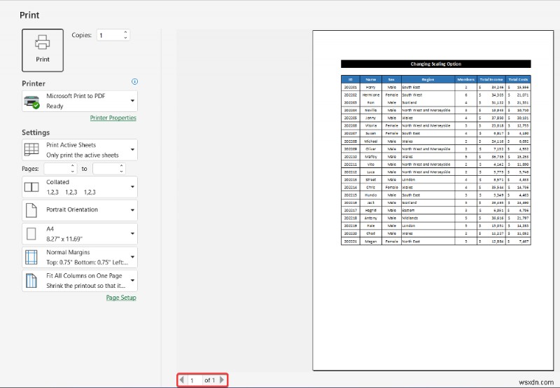 วิธีการจัดคอลัมน์ทั้งหมดในหน้าเดียวใน Excel (5 วิธีง่ายๆ)