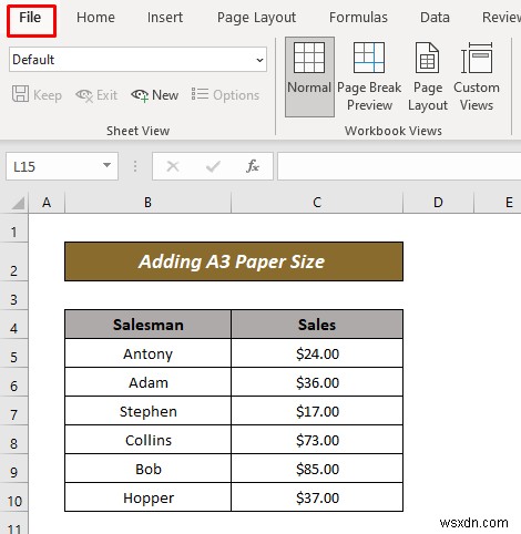 วิธีการเพิ่มขนาดกระดาษ A3 ใน Excel (2 วิธีด่วน)