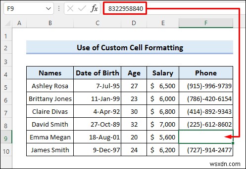 วิธีการซ่อนข้อมูลที่เป็นความลับใน Excel (5 วิธีง่ายๆ)