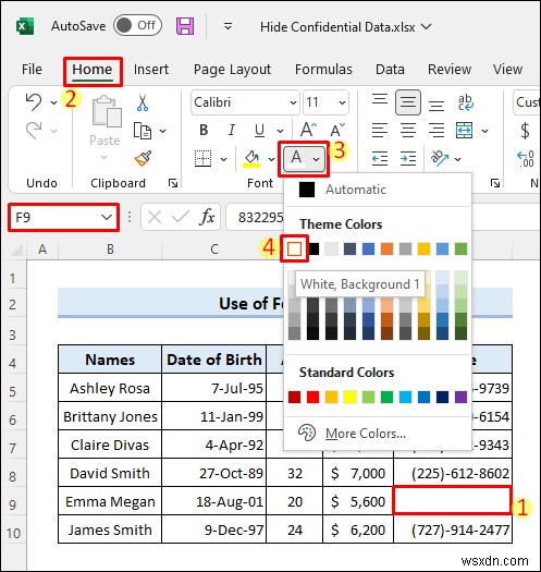 วิธีการซ่อนข้อมูลที่เป็นความลับใน Excel (5 วิธีง่ายๆ)