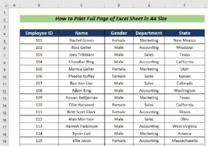 วิธีพิมพ์แผ่นงาน Excel แบบเต็มหน้าในขนาด A4 (5 วิธีง่ายๆ)