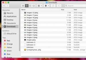 วิธีการลบไฟล์และโฟลเดอร์ที่ดาวน์โหลดเพื่อทำความสะอาด Mac ของคุณ