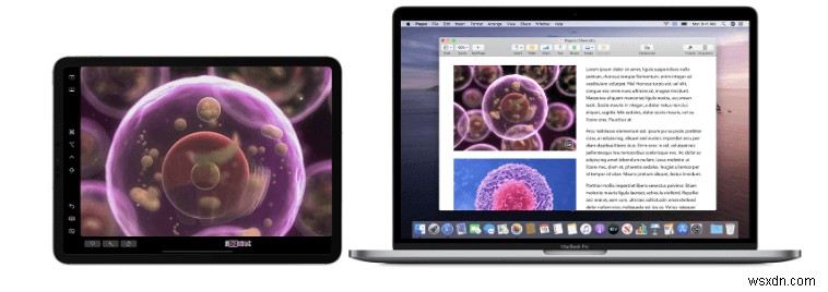 14 ปัญหาทั่วไปของ macOS Catalina และการแก้ไขด่วน