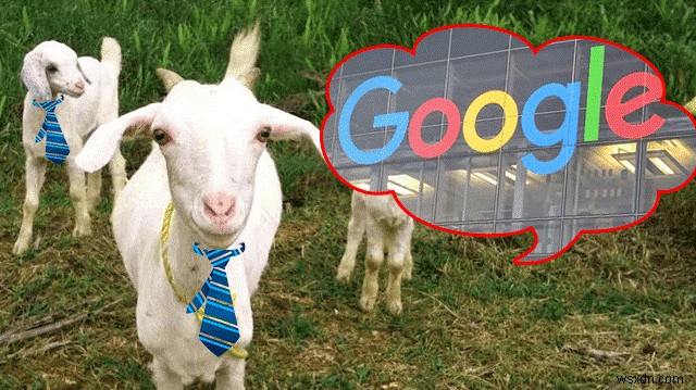 สุขสันต์วันเกิดครบรอบ 21 ปี Google! รู้ข้อเท็จจริง 21 ข้อ!
