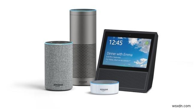 ปัญหา Amazon Echo ทั่วไปที่มีการแก้ไขด่วน