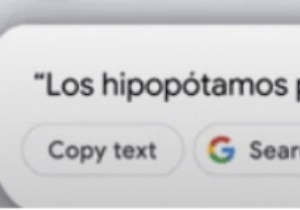 ทำให้แอป Google Lens มีประโยชน์ด้วยคุณลักษณะเหล่านี้