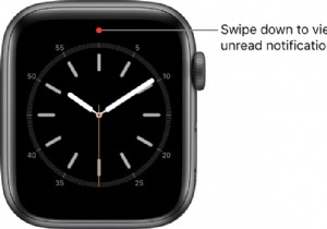 วิธีกำจัดการแจ้งเตือน Red Dot ของ Apple Watch