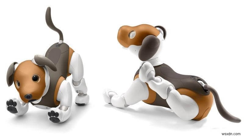 ทักทาย Sony Aibo สุนัขหุ่นยนต์ที่เจ๋งที่สุดในพันปีนี้