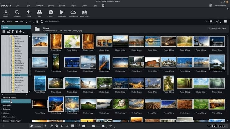 ทางเลือกยอดนิยมของ Picasa ในการจัดการรูปภาพของคุณในปี 2022