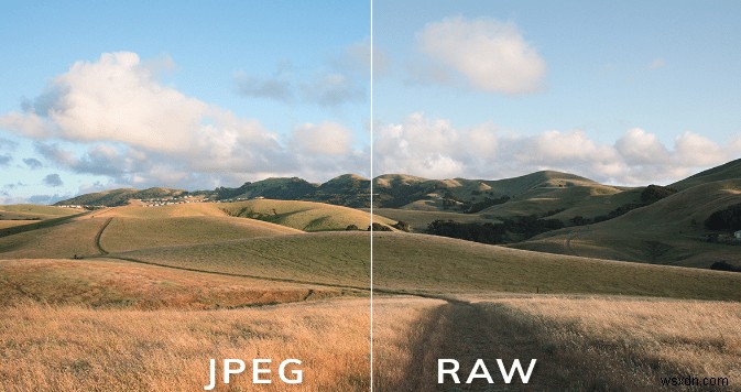 RAW กับ JPEG:แบบไหนดีที่สุดและทำไม