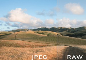 RAW กับ JPEG:แบบไหนดีที่สุดและทำไม